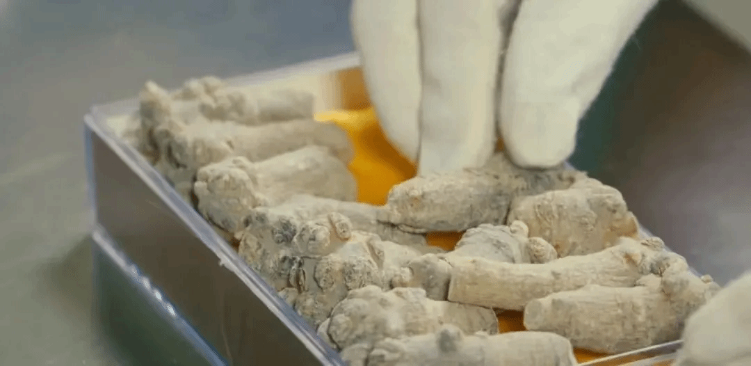 首页 - BB电子官方网站