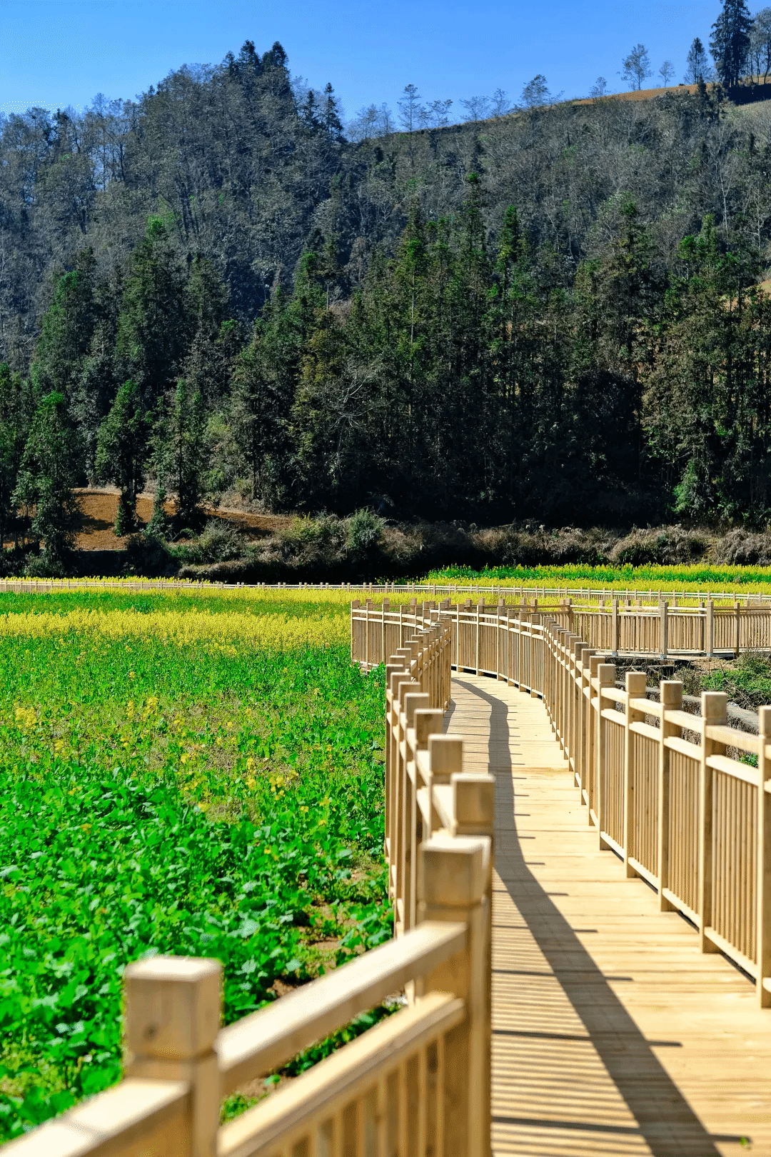 首页 - BB电子官方网站