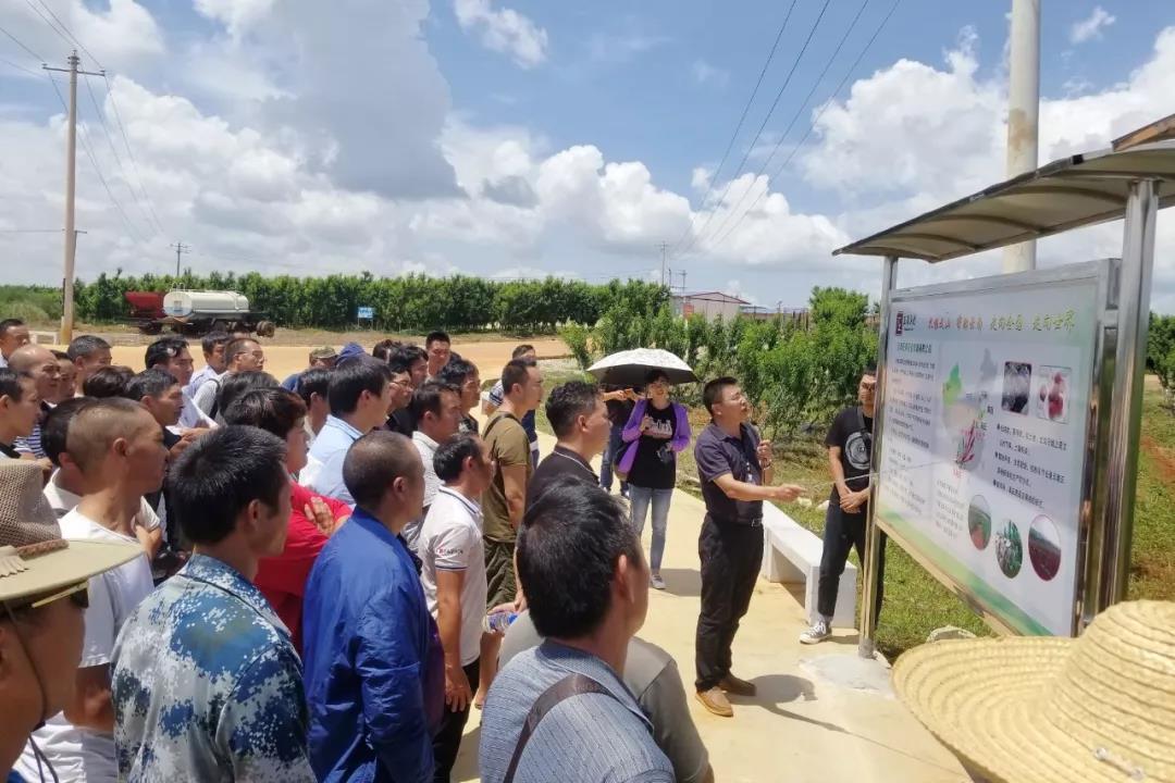 首页 - BB电子官方网站