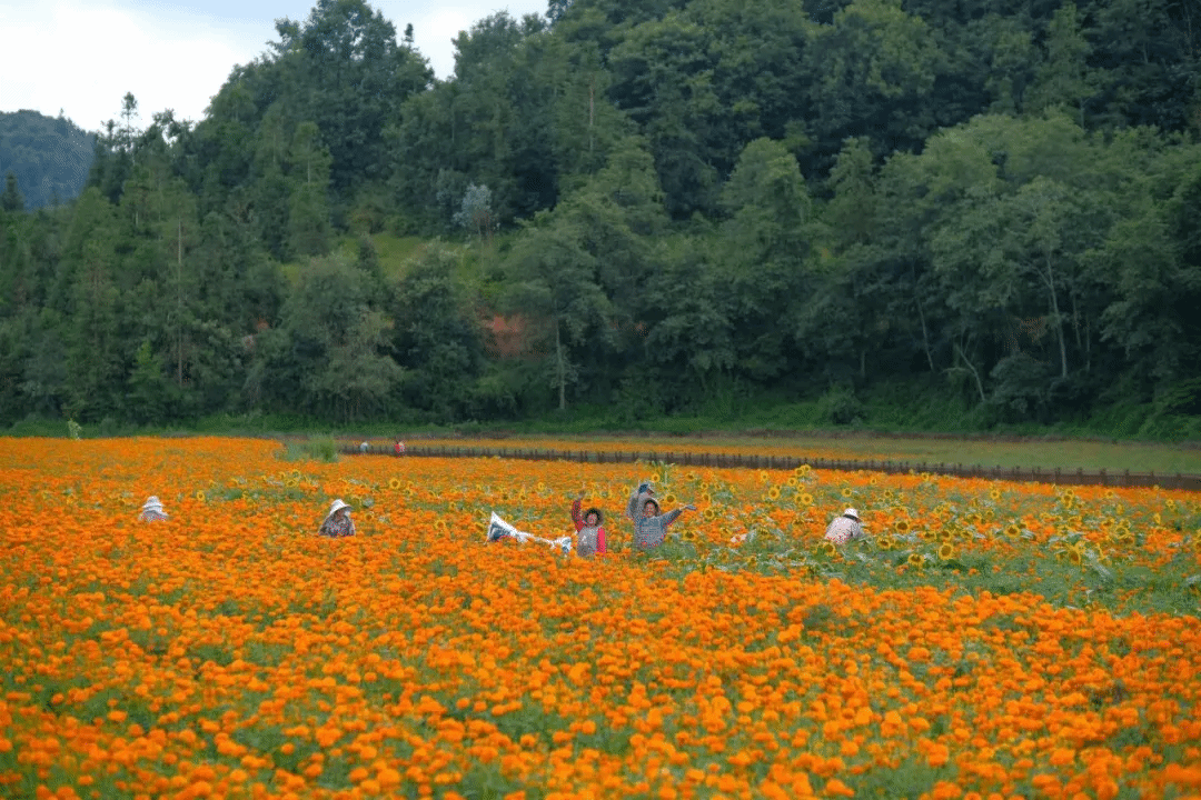 首页 - BB电子官方网站