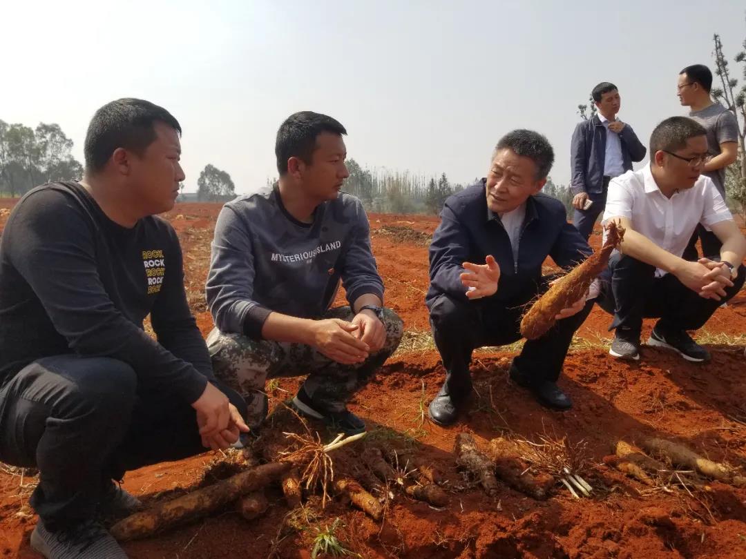 首页 - BB电子官方网站