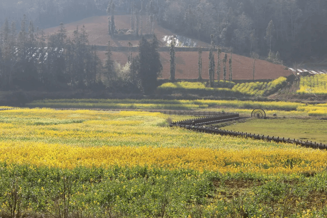 首页 - BB电子官方网站